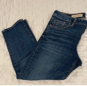 Pilcro and the Letterpress cropped straight leg jeans STET